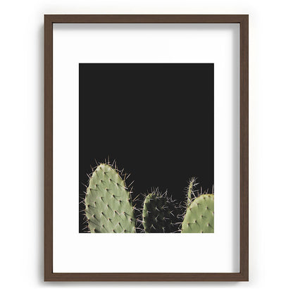 Cactus Framed Art Print Gallery Image 66