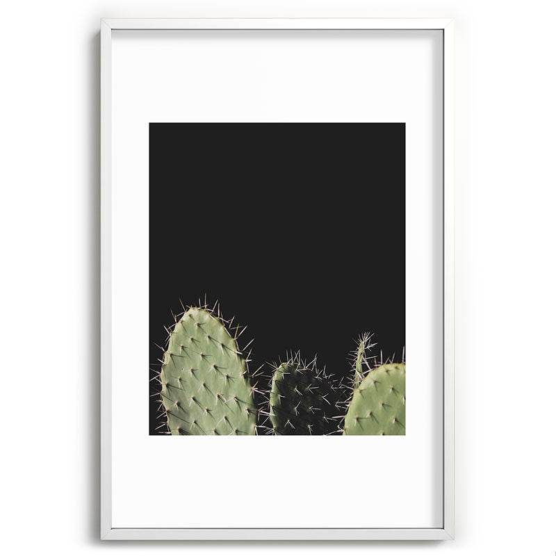 Cactus Framed Art Print Gallery Image 80
