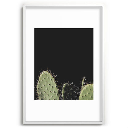 Cactus Framed Art Print Gallery Image 80