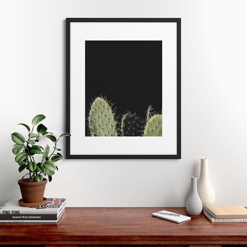 Cactus Framed Art Print Gallery Image 35