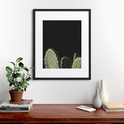 Cactus Framed Art Print Gallery Image 35