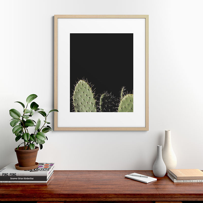 Cactus Framed Art Print Gallery Image 49