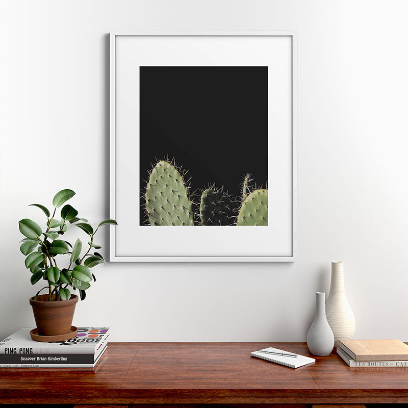 Cactus Framed Art Print Gallery Image 28