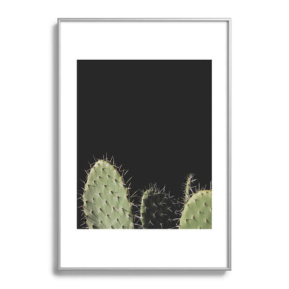 Cactus Framed Art Print Gallery Image 97