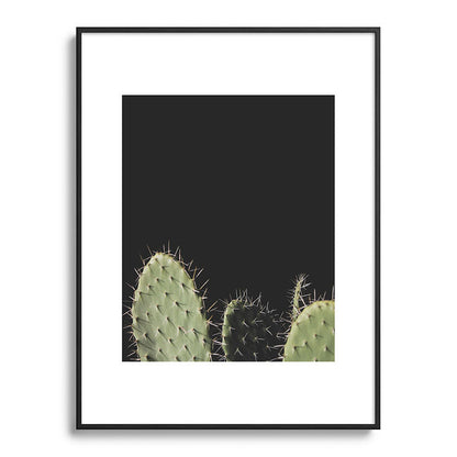 Cactus Framed Art Print Gallery Image 84
