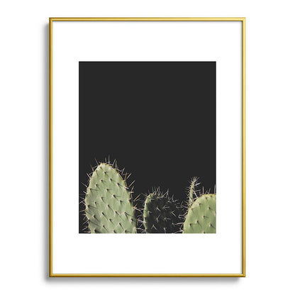 Cactus Framed Art Print Gallery Image 91