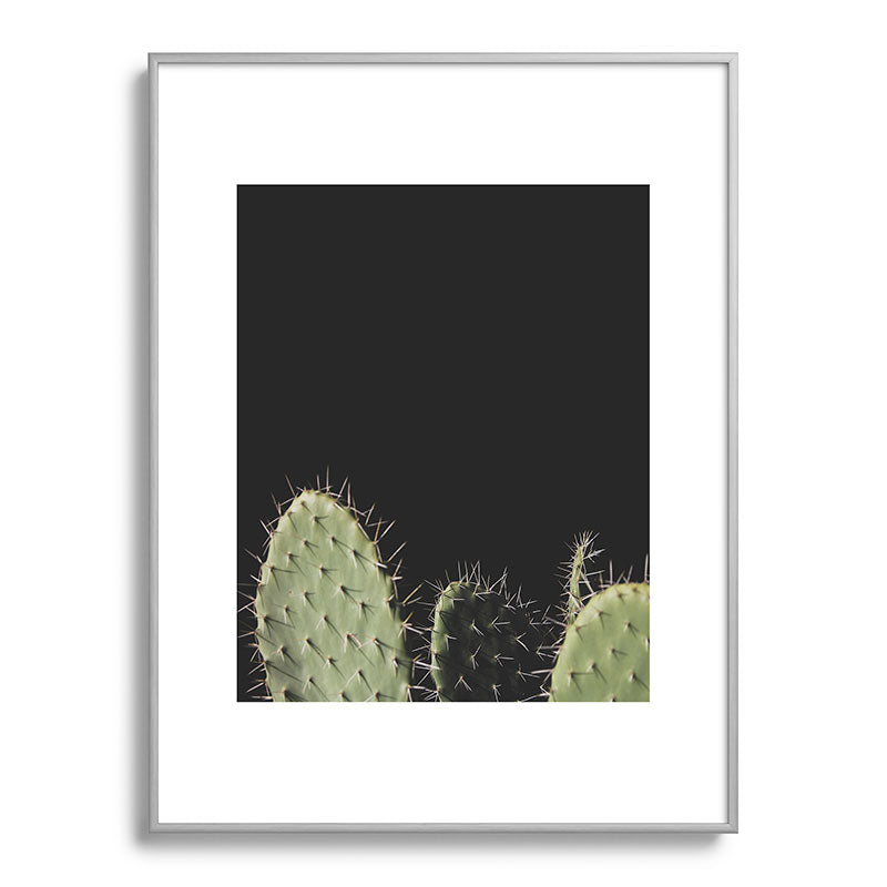 Cactus Framed Art Print Gallery Image 98