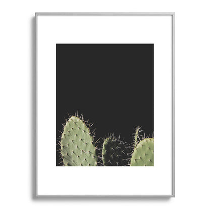 Cactus Framed Art Print Gallery Image 98