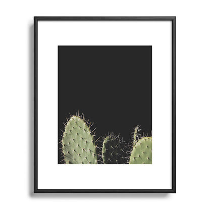 Cactus Framed Art Print Gallery Image 81