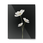 Flowers 5 Metal Print Gallery Image 1