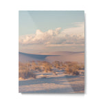 Desert Sunset Metal Print Gallery Image 1