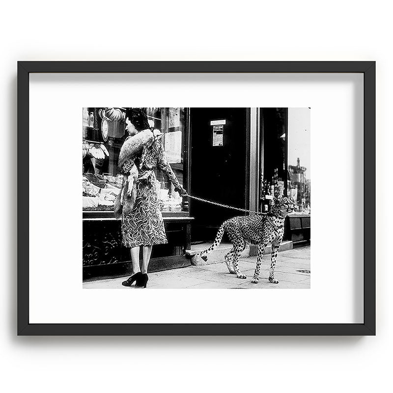 Woman Walking Pet Cheetah in London, 1939 Framed Art Print Gallery Image 61