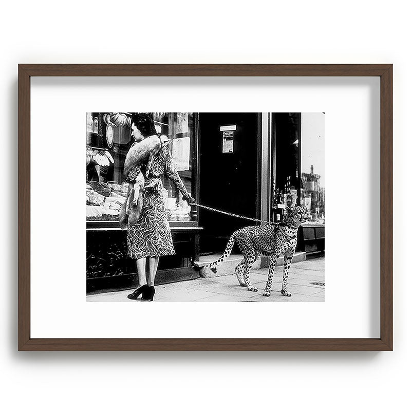 Woman Walking Pet Cheetah in London, 1939 Framed Art Print Gallery Image 67