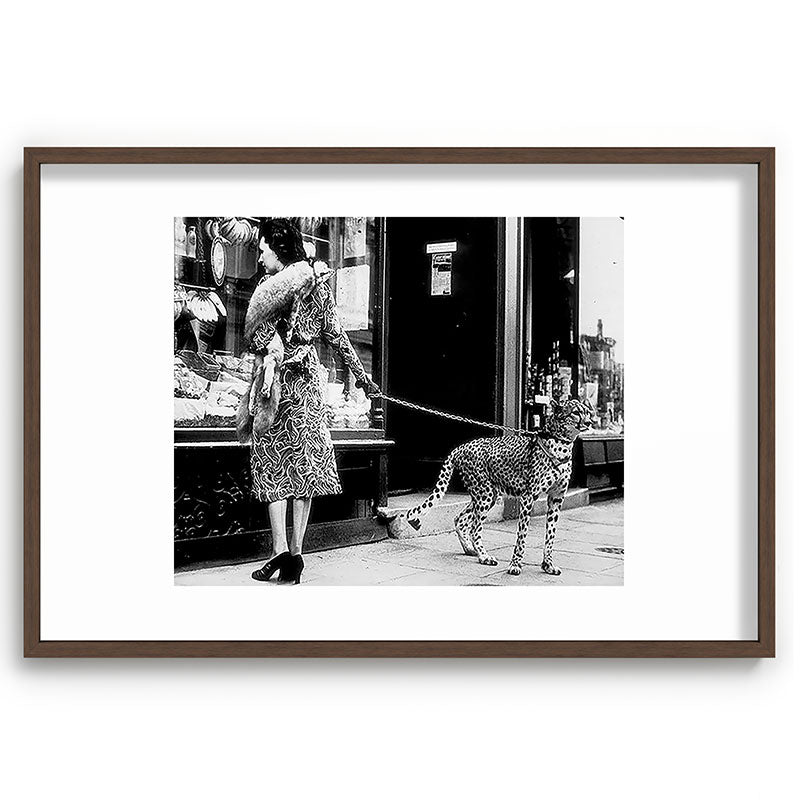Woman Walking Pet Cheetah in London, 1939 Framed Art Print Gallery Image 68