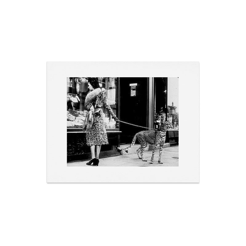 Woman Walking Pet Cheetah in London, 1939 Art Print Gallery Image 4