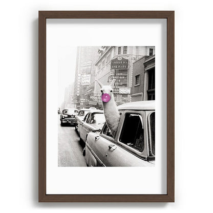 Perfect Pink Bubble Gum Llama taking a New York Taxi black and white photograph Framed Art Print Gallery Image 89