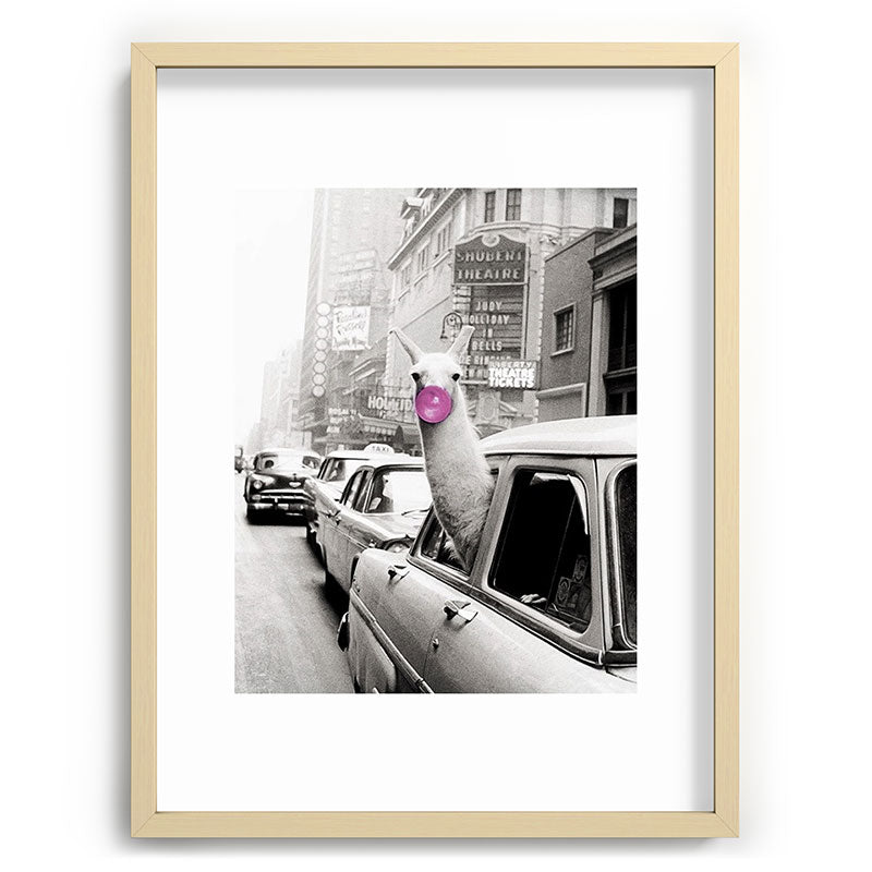 Perfect Pink Bubble Gum Llama taking a New York Taxi black and white photograph Framed Art Print Gallery Image 100