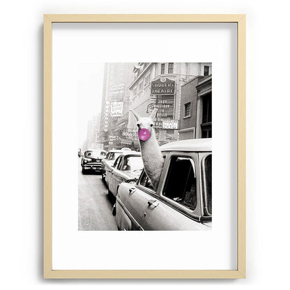 Perfect Pink Bubble Gum Llama taking a New York Taxi black and white photograph Framed Art Print Gallery Image 100
