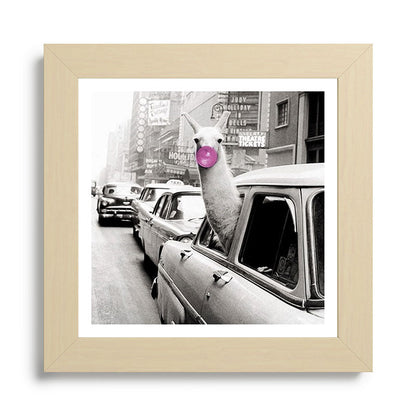Perfect Pink Bubble Gum Llama taking a New York Taxi black and white photograph Framed Art Print Gallery Image 68