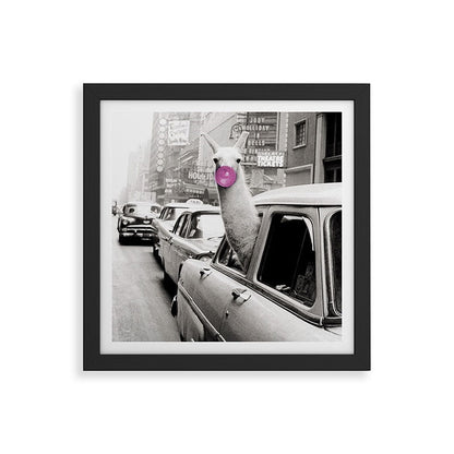 Perfect Pink Bubble Gum Llama taking a New York Taxi black and white photograph Framed Art Print Gallery Image 50