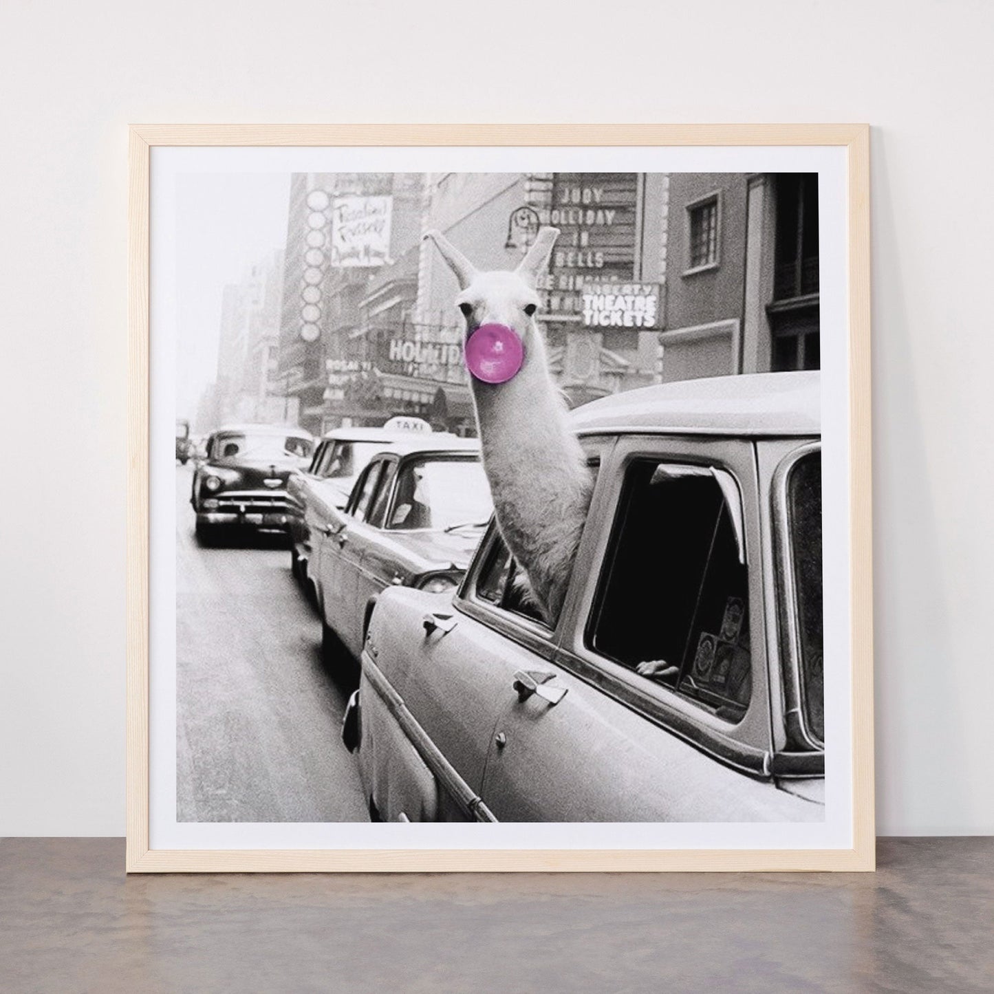 Perfect Pink Bubble Gum Llama taking a New York Taxi black and white photograph Framed Art Print Gallery Image 77