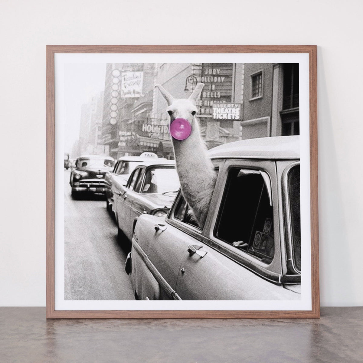 Perfect Pink Bubble Gum Llama taking a New York Taxi black and white photograph Framed Art Print Gallery Image 66