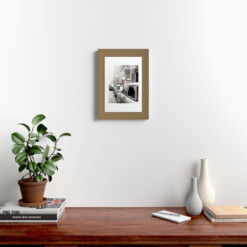 Perfect Pink Bubble Gum Llama taking a New York Taxi black and white photograph Framed Art Print Gallery Image 52
