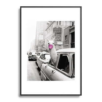 Perfect Pink Bubble Gum Llama taking a New York Taxi black and white photograph Framed Art Print Gallery Image 113
