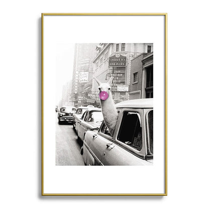 Perfect Pink Bubble Gum Llama taking a New York Taxi black and white photograph Framed Art Print Gallery Image 123
