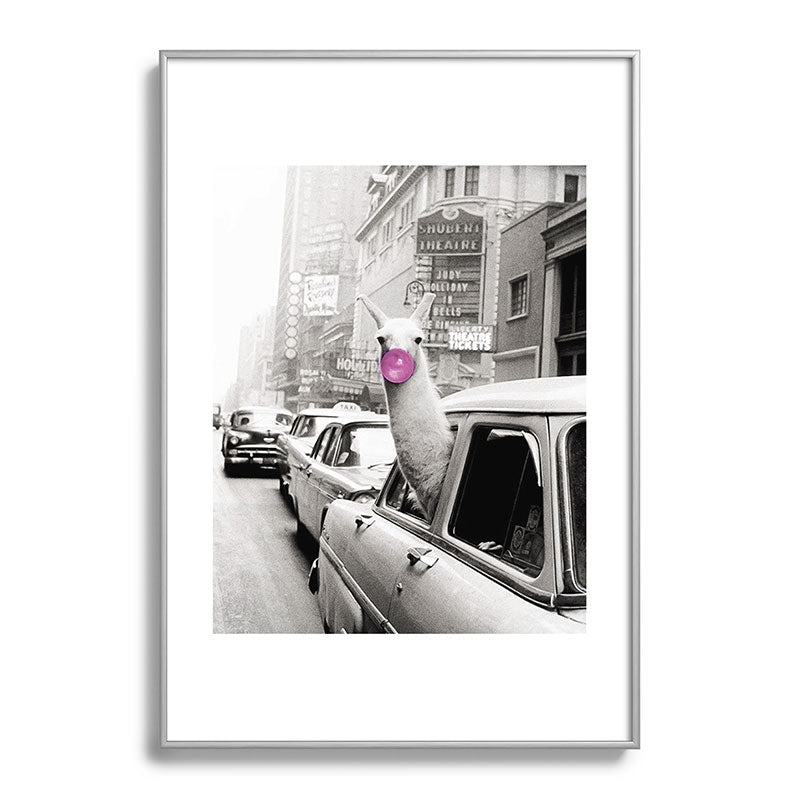 Perfect Pink Bubble Gum Llama taking a New York Taxi black and white photograph Framed Art Print Gallery Image 132