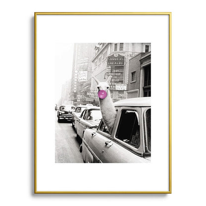 Perfect Pink Bubble Gum Llama taking a New York Taxi black and white photograph Framed Art Print Gallery Image 124
