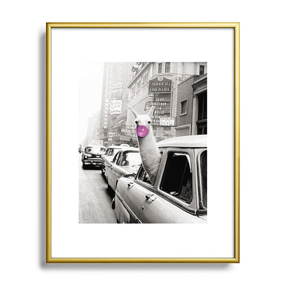 Perfect Pink Bubble Gum Llama taking a New York Taxi black and white photograph Framed Art Print Gallery Image 121