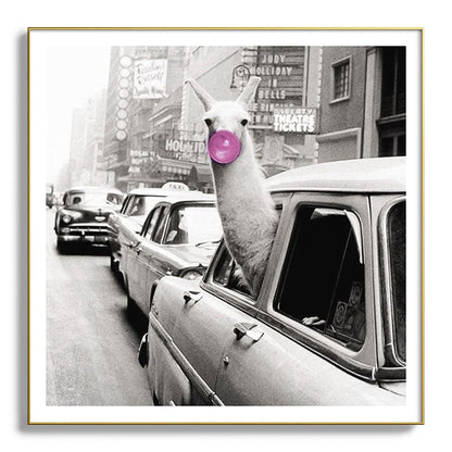 Perfect Pink Bubble Gum Llama taking a New York Taxi black and white photograph Framed Art Print Gallery Image 139