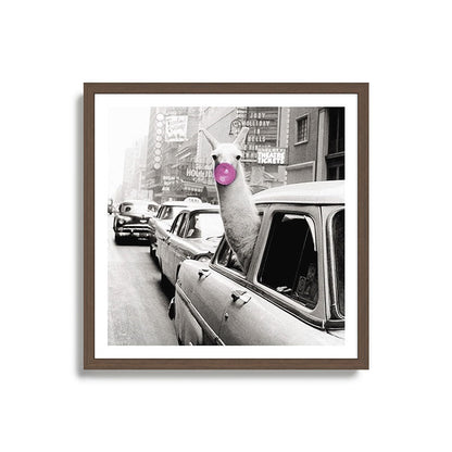 Perfect Pink Bubble Gum Llama taking a New York Taxi black and white photograph Framed Art Print Gallery Image 17