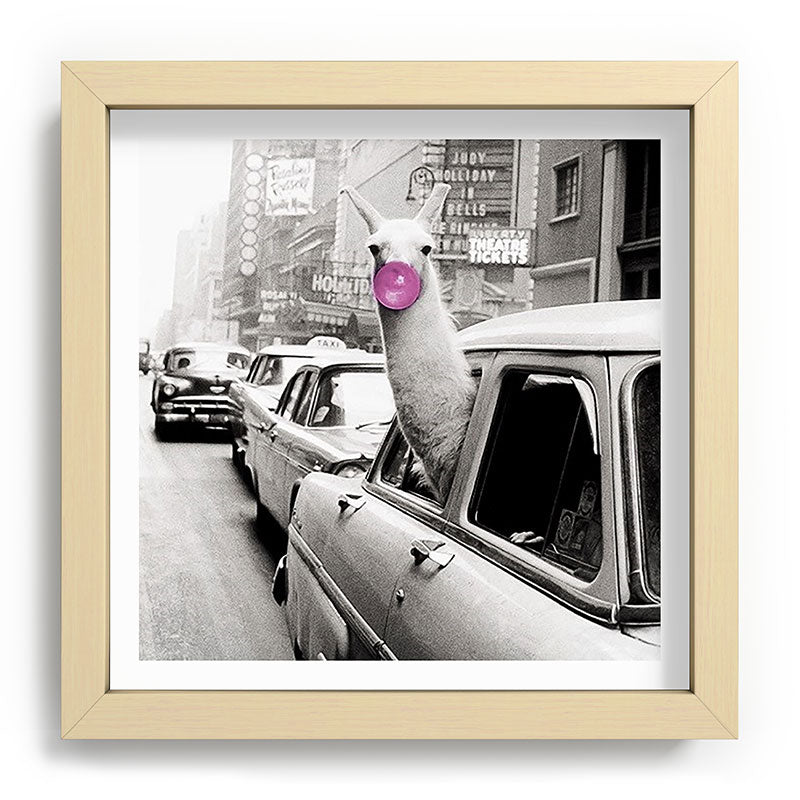 Perfect Pink Bubble Gum Llama taking a New York Taxi black and white photograph Framed Art Print Gallery Image 106