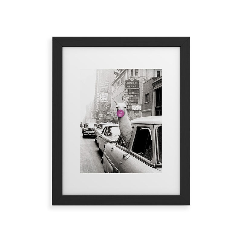Perfect Pink Bubble Gum Llama taking a New York Taxi black and white photograph Framed Art Print Gallery Image 45