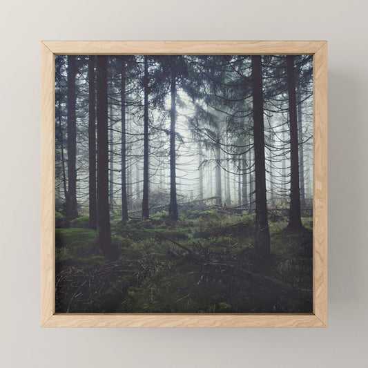Through The Trees Mini Art Print Gallery Image 1