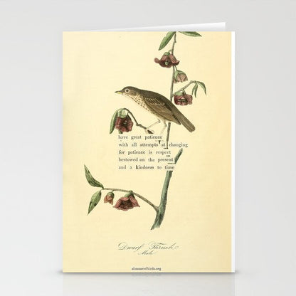 Bird Divinations: Dwarf Thrush (about: almanacofbirds.org) Stationery Card Gallery Image 1