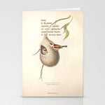 Bird Divinations: Penduline Tit (about: almanacofbirds.org) Stationery Card Gallery Image 1