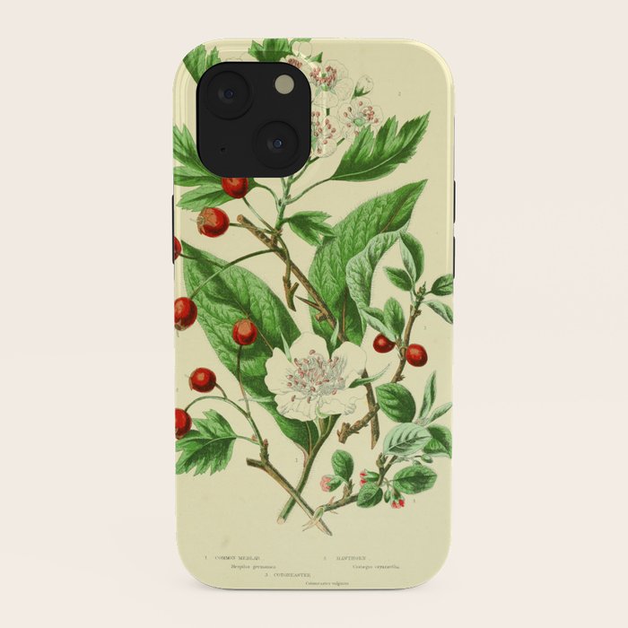 Hawthorn by Anne Pratt, 1800s (benefitting The Nature Conservancy) iPhone Case Gallery Image 38