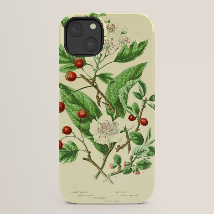 Hawthorn by Anne Pratt, 1800s (benefitting The Nature Conservancy) iPhone Case Gallery Image 30