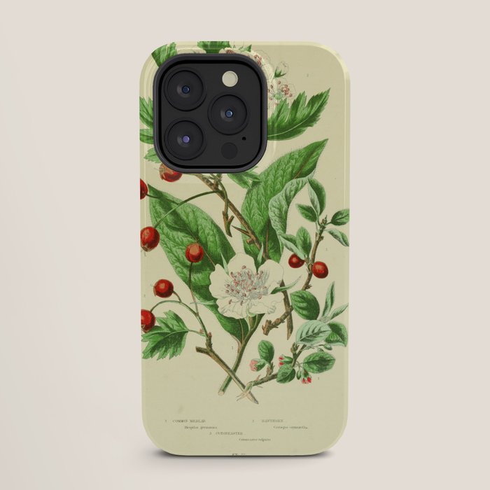 Hawthorn by Anne Pratt, 1800s (benefitting The Nature Conservancy) iPhone Case Gallery Image 27