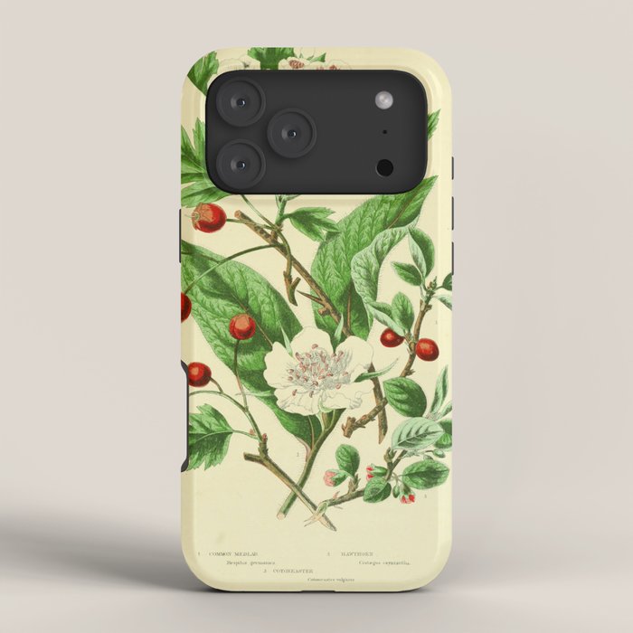 Hawthorn by Anne Pratt, 1800s (benefitting The Nature Conservancy) iPhone Case Gallery Image 4