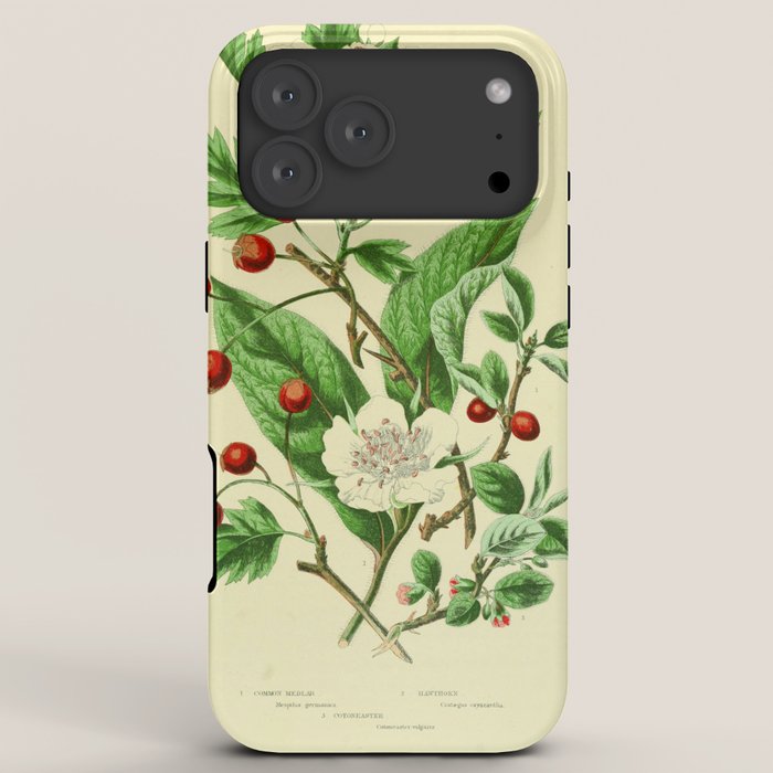 Hawthorn by Anne Pratt, 1800s (benefitting The Nature Conservancy) iPhone Case Gallery Image 8