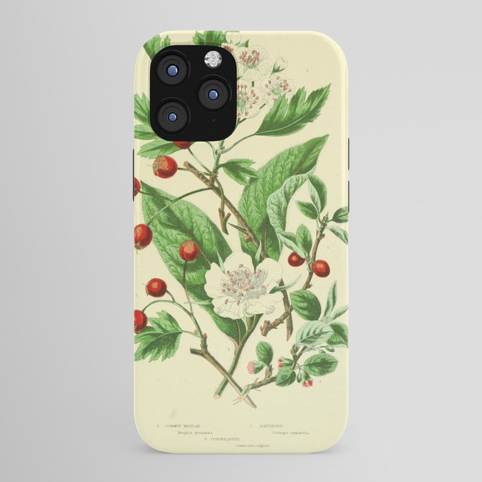 Hawthorn by Anne Pratt, 1800s (benefitting The Nature Conservancy) iPhone Case Gallery Image 43