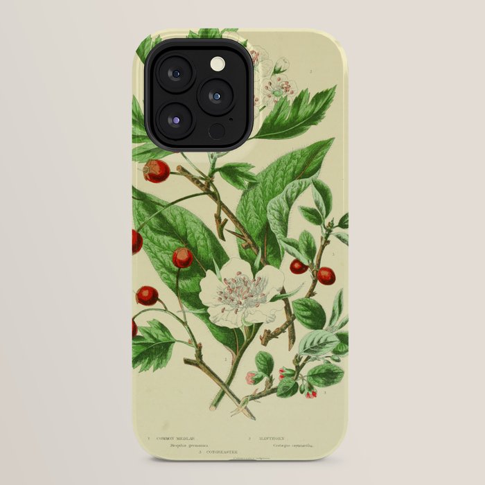 Hawthorn by Anne Pratt, 1800s (benefitting The Nature Conservancy) iPhone Case Gallery Image 24