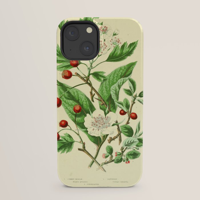 Hawthorn by Anne Pratt, 1800s (benefitting The Nature Conservancy) iPhone Case Gallery Image 21