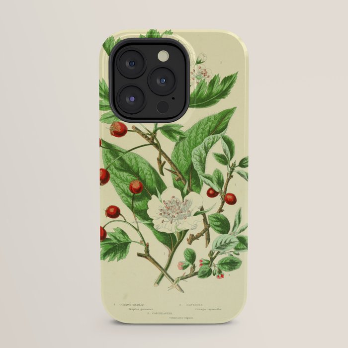Hawthorn by Anne Pratt, 1800s (benefitting The Nature Conservancy) iPhone Case Gallery Image 31