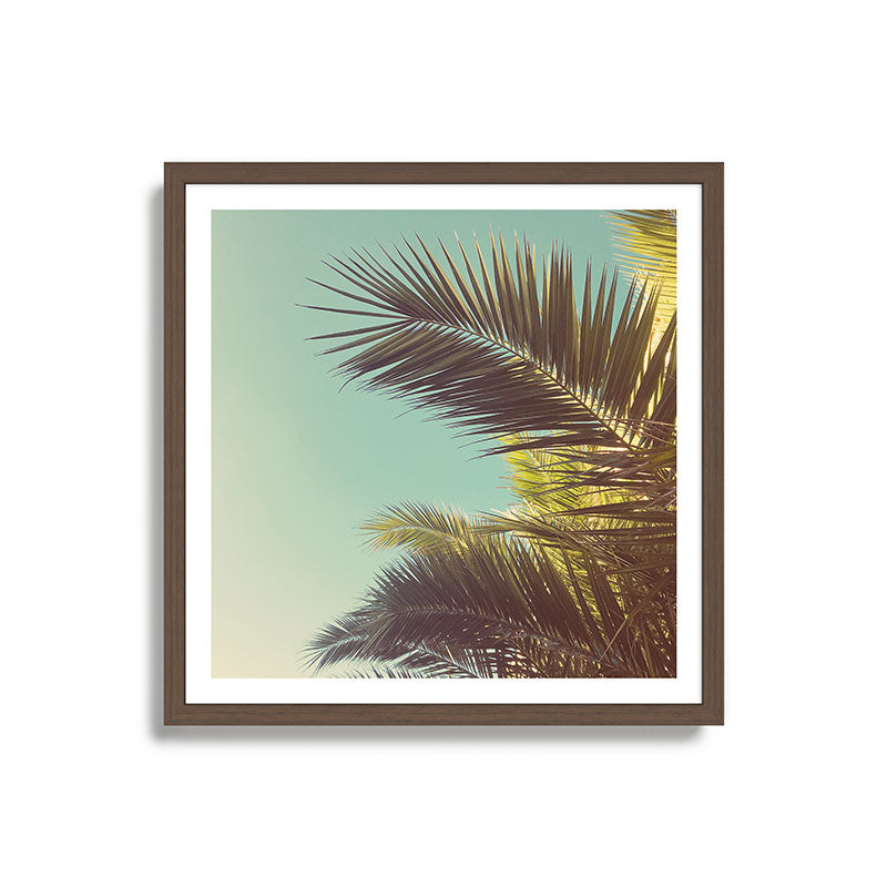 Autumn Palms Framed Art Print Gallery Image 17
