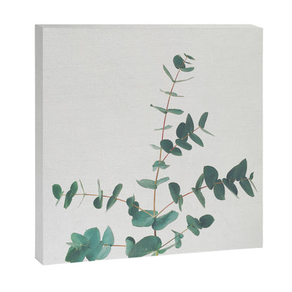 Eucalyptus Canvas Print Gallery Image 6